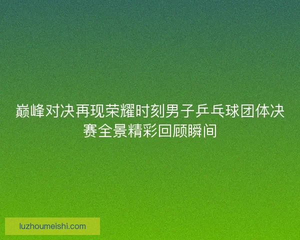 巅峰对决再现荣耀时刻男子乒乓球团体决赛全景精彩回顾瞬间