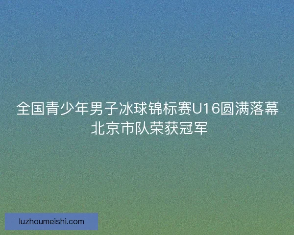 全国青少年男子冰球锦标赛U16圆满落幕 北京市队荣获冠军