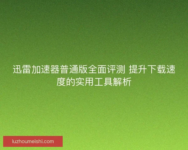 迅雷加速器普通版全面评测 提升下载速度的实用工具解析