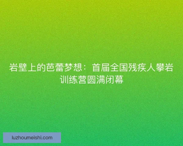 岩壁上的芭蕾梦想：首届全国残疾人攀岩训练营圆满闭幕